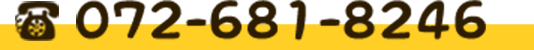072-681-8246